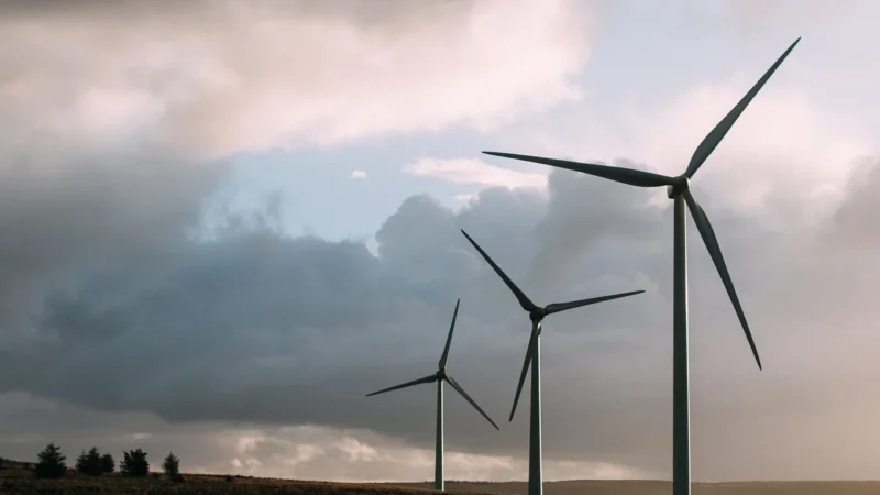 Nordyckie podejście do energetyki – czym wyróżnia się Fortum na polskim rynku?