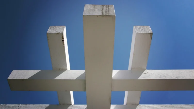 Ogrody marzeń – pergole jako element architektury krajobrazu